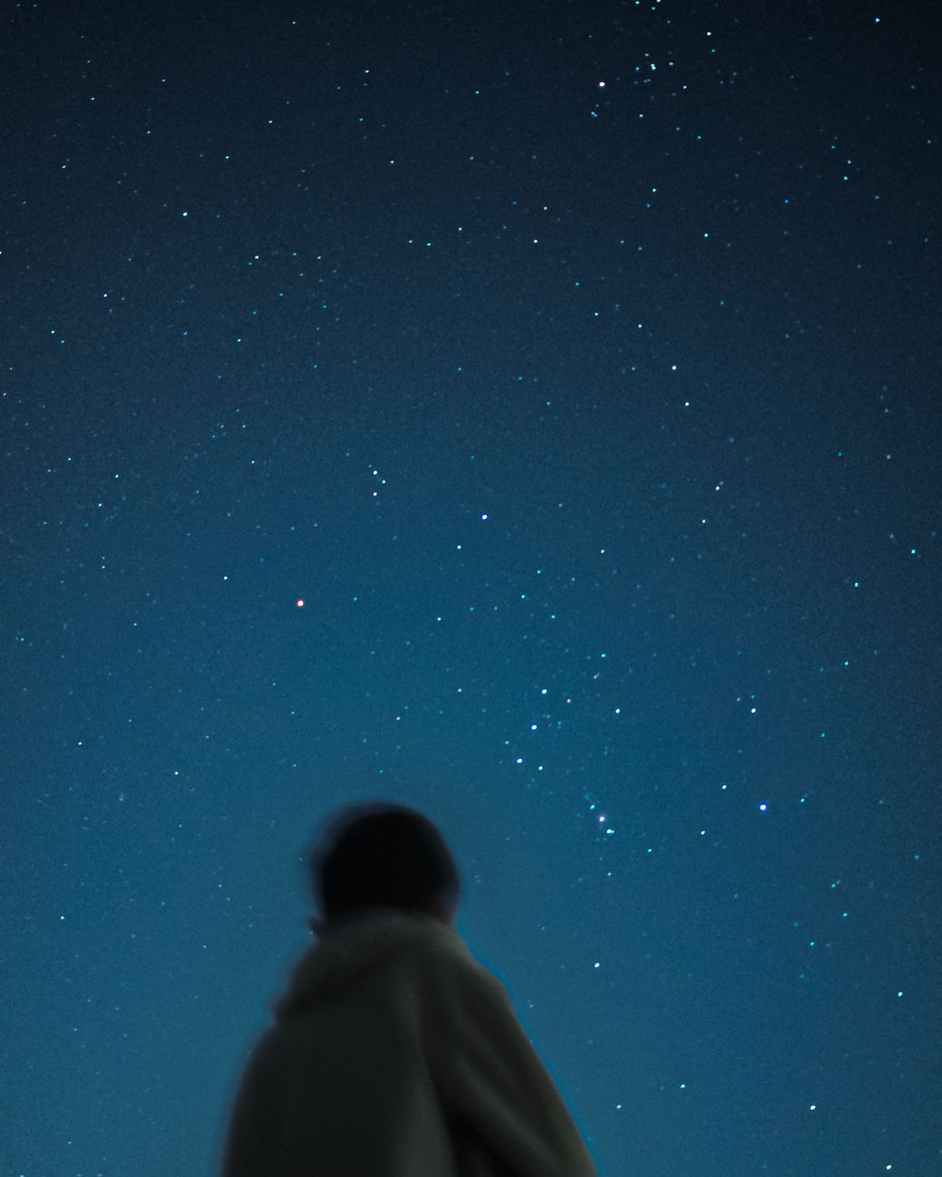 Silhouette of a person looking at the starry sky at night