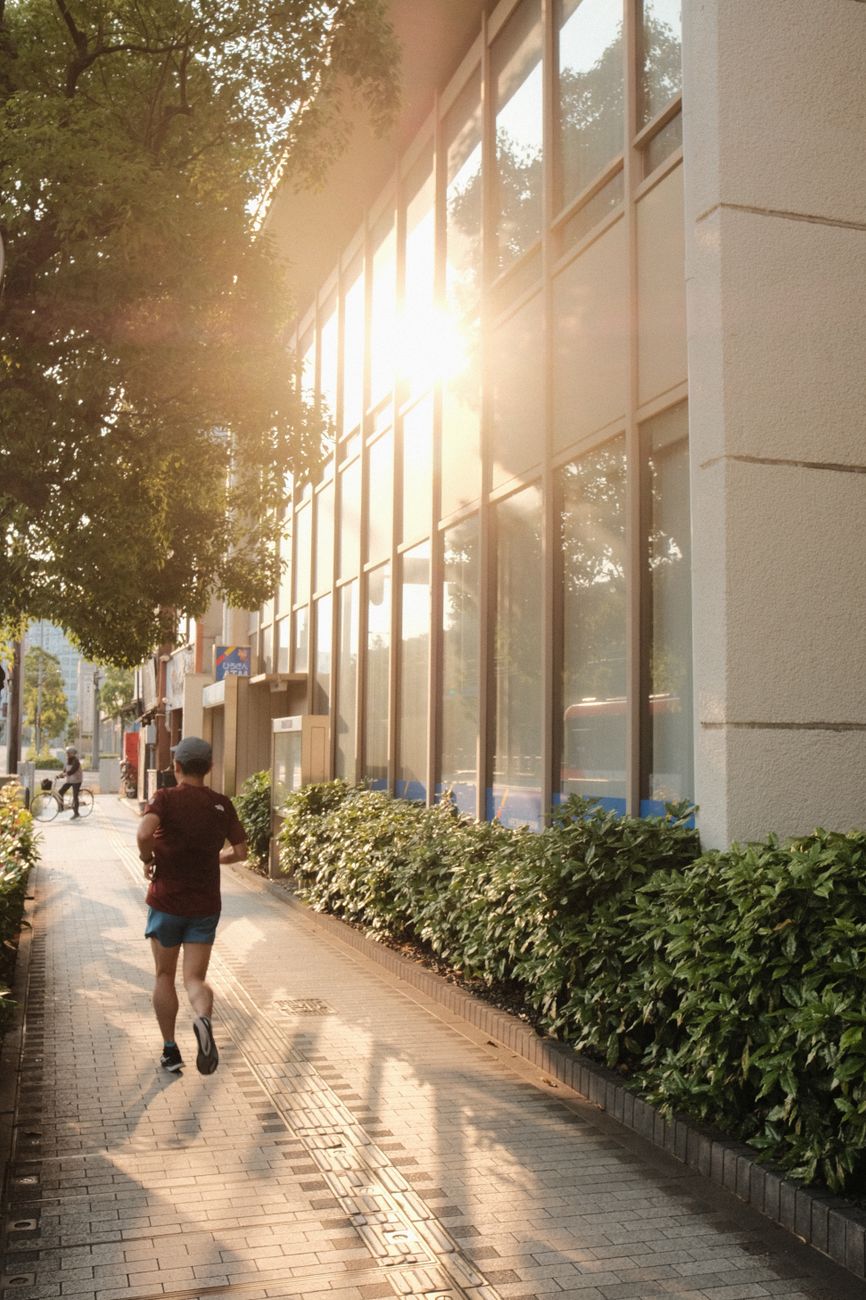 Person jogging on a tree-lined city street in morning light